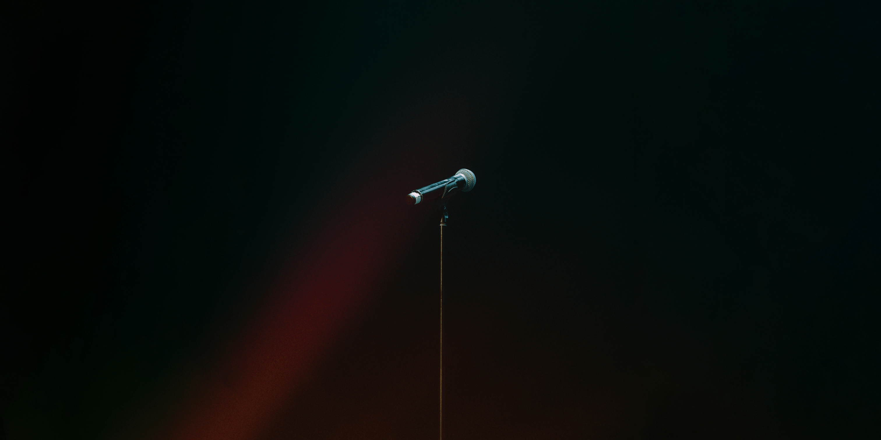 TED Banner