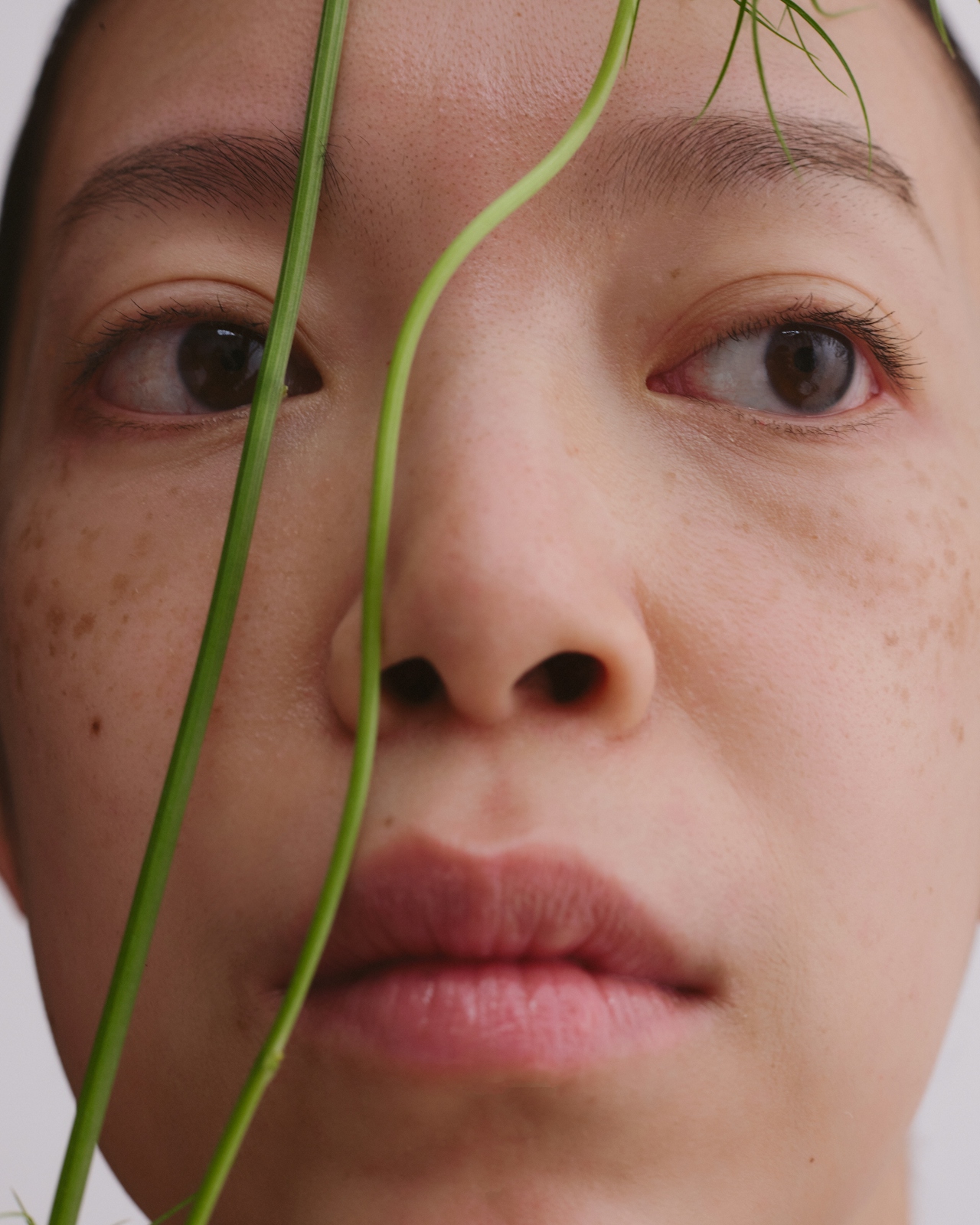 Trapped in Survival Mode: The Modern Stress Dilemma